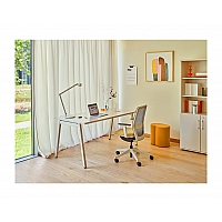 OGI desk collection